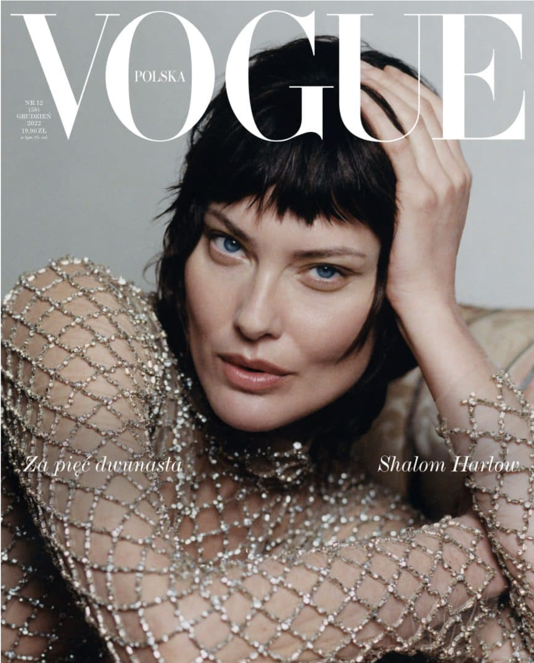 Vogue Poland 'Shalom Harlow' — ROSIE TURNBULL